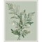 Tonal Green Ferns I by Elizabeth Medley Framed Canvas Wall Art